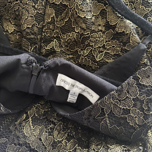 Dress the Population Ophilia Sleeveless Lace Fit & Flare Dress - Picture 6 of 7